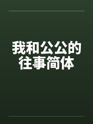 我和公公的往事简体封面