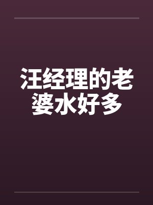 汪经理的老婆水好多封面