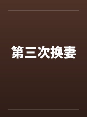 第三次换妻封面