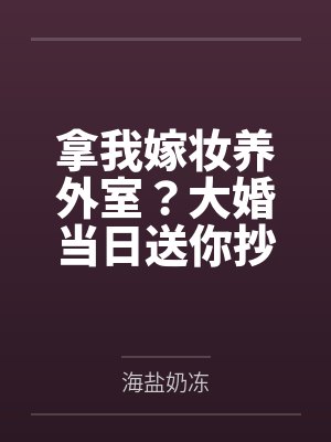 拿我嫁妆养外室?大婚当日送你抄家封面