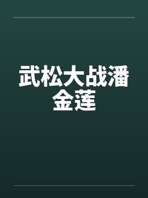 武松大战潘金莲封面