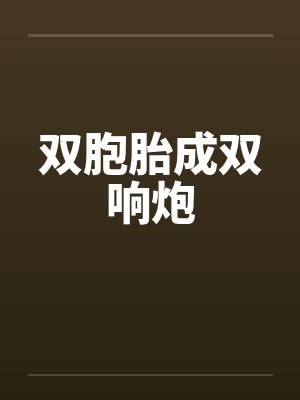 双胞胎成双响炮封面