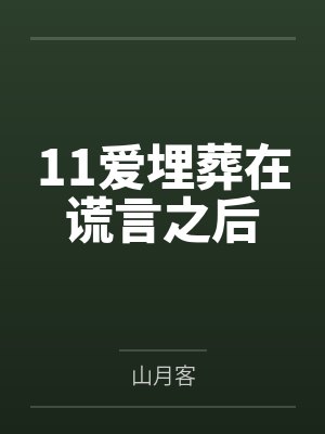 11爱埋葬在谎言之后封面