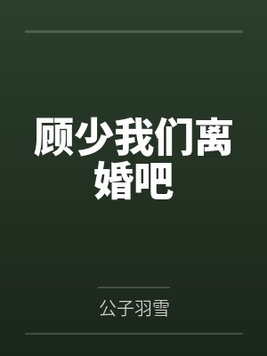 顾少我们离婚吧封面