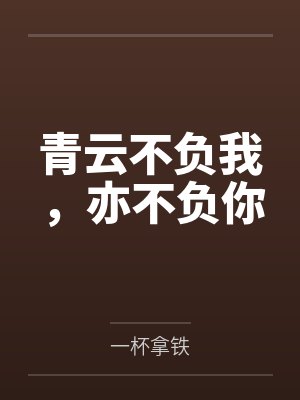 青云不负我，亦不负你封面