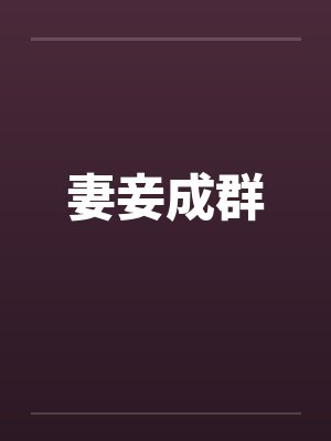 妻妾成群封面