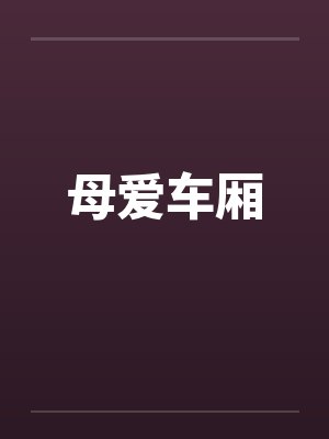 母爱车厢封面