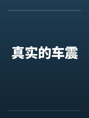 真实的车震封面