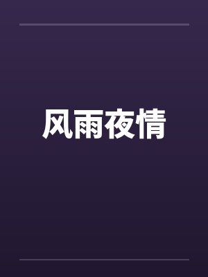 风雨夜情封面
