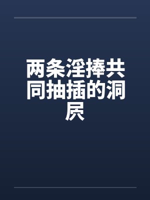 两条淫捧共同抽插的洞屄封面