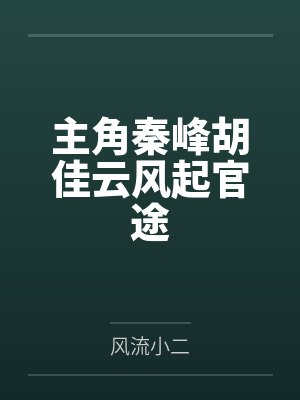 主角秦峰胡佳云风起官途封面