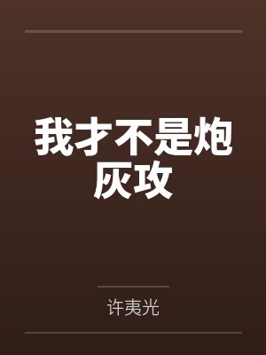 我才不是炮灰攻封面