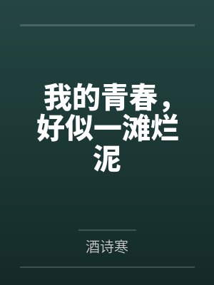 我的青春，好似一滩烂泥封面