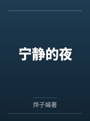 宁静的夜封面